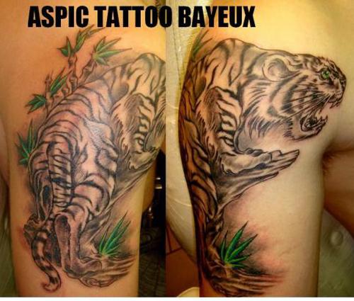 Photo de tigre, félin, savane réalisé par Aspic  Tattoo
