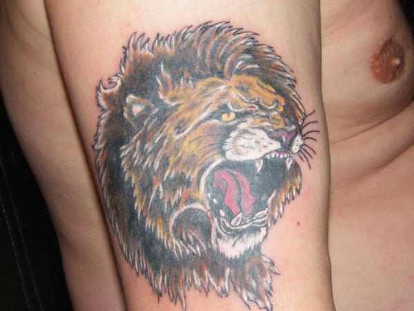 Photo de Tigre, tigre, animaux réalisé par Crypte Tattoo PIercing