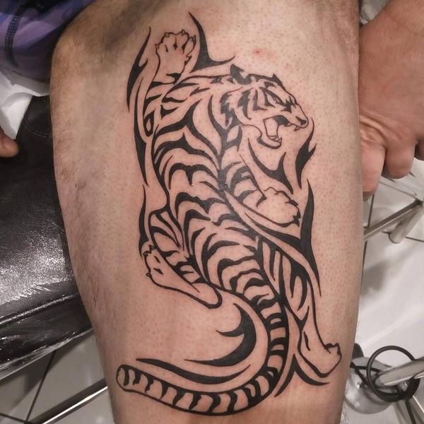 tigre
