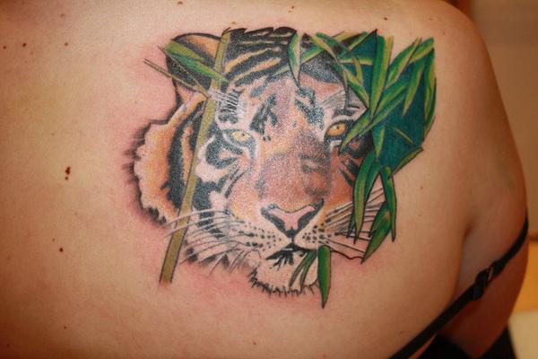 Tigre