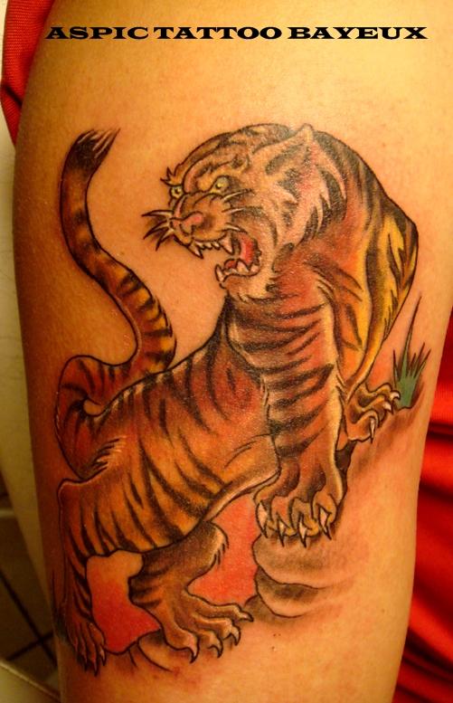 tigre