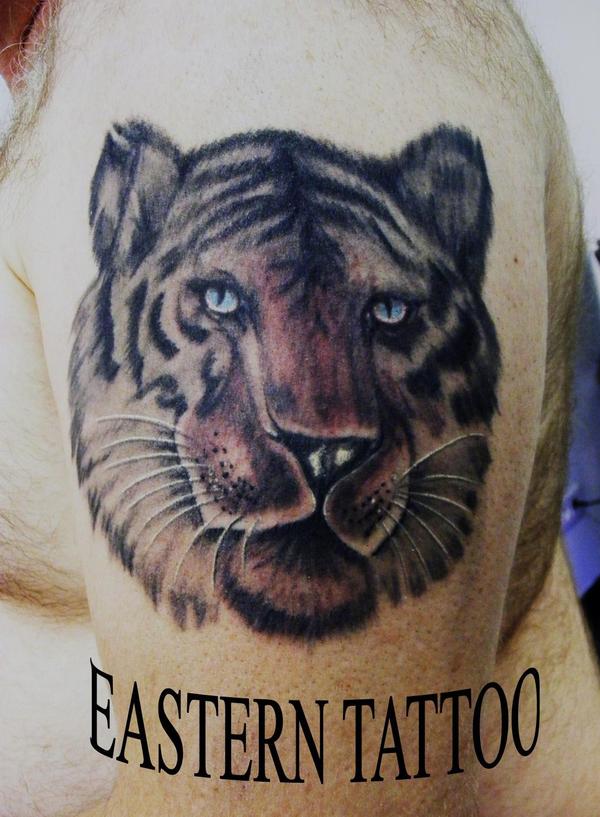 Photo de tigre, tigre, animaux réalisé par Eastern Tattoo