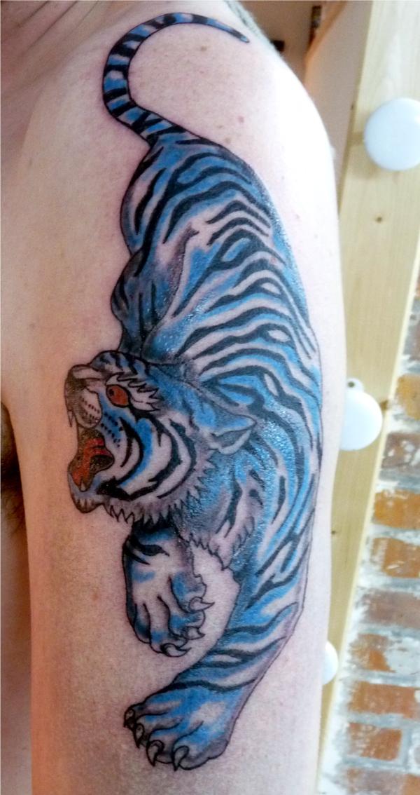 Photo de tigre bleu, félin, tigre réalisé par M Tattoo