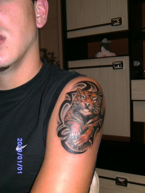 Tigre et tribal