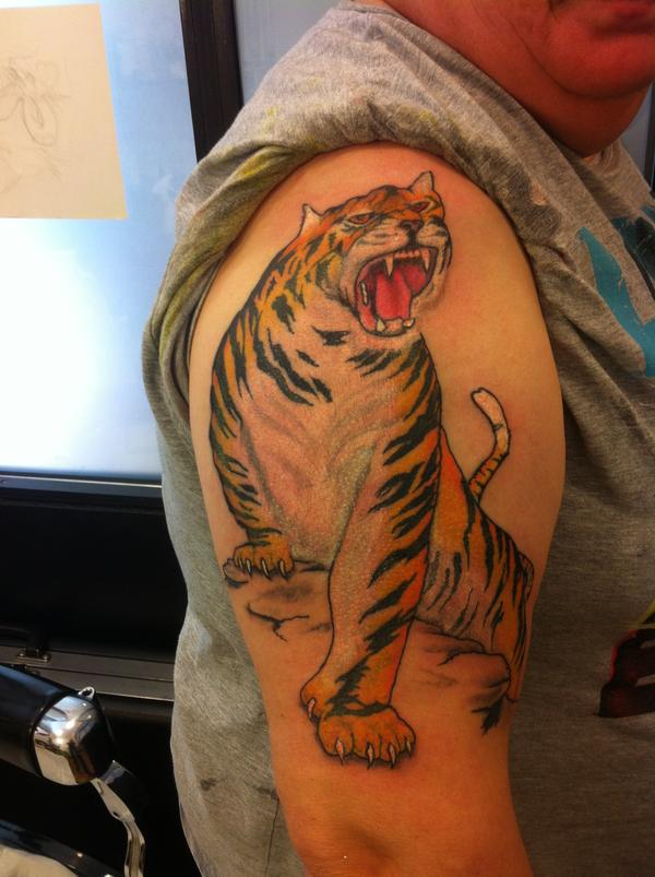 tigre japonais