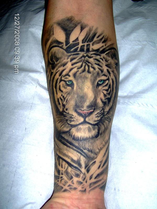 tigre réaliste