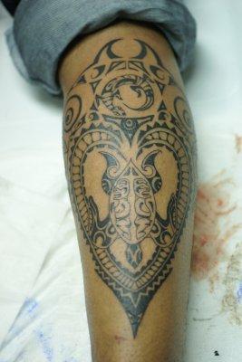 tortue maori